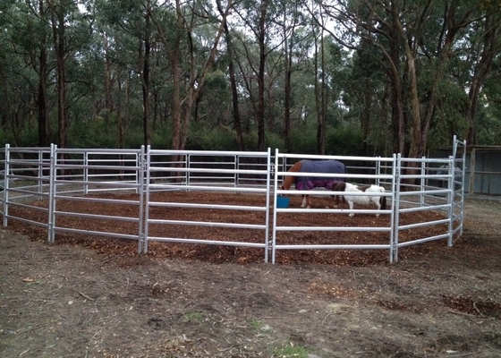 Durable High Strength Portable 40x80mm Oval Rail Cattle Yard Gates 2.1m Width