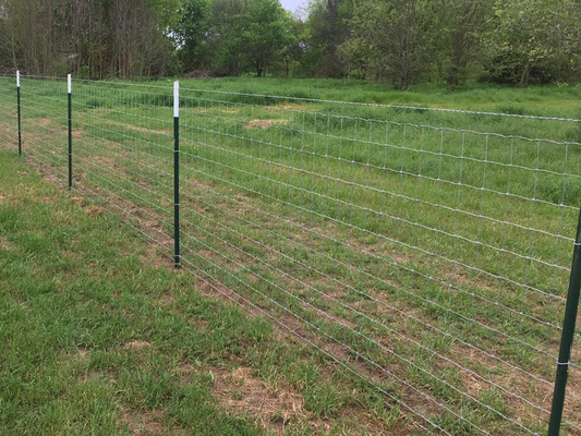 Iron 50m Long Woven Wire Cattle Fencing No Rust for farm