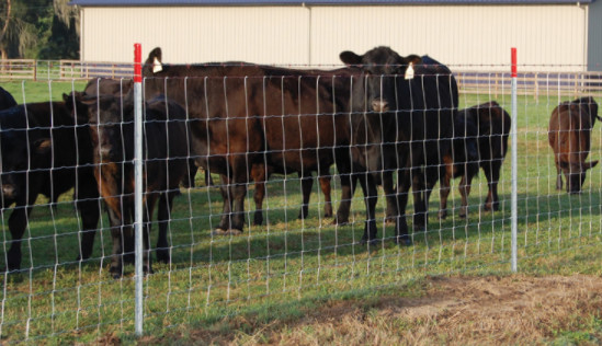 Waterproof 2mm Diameter Wire Cattle Metal Fence Panels With Sqaure Hole