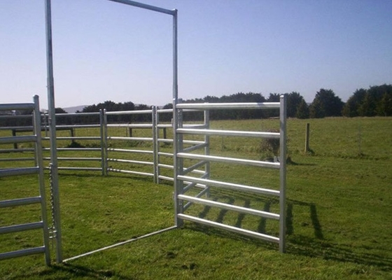 1.6x2.1m Heavy Duty Cattle Panel , Anti Rust Cattle Metal Fence Panels