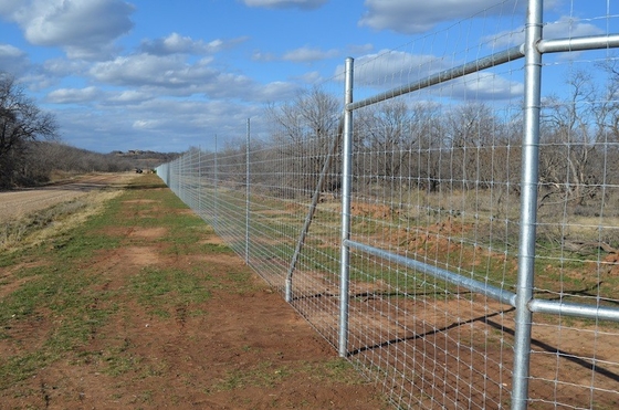 Livestock Hot Dipped Galvanised Farm Deer Fencing 80cm High