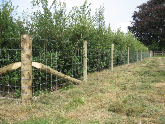 Livestock Hot Dipped Galvanised Farm Deer Fencing 80cm High