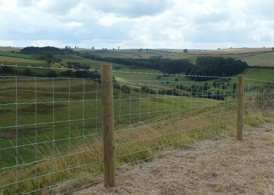 2.5mm Wire Hinged Joint Galvanized 1.2m High Agricultural Fencing