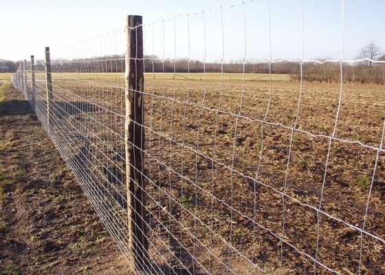 2.5mm Wire Hinged Joint Galvanized 1.2m High Agricultural Fencing