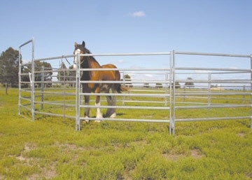 Oval Bars Livestock Lightweight CE Heavy Duty Cattle Panel 1.6x2.1m 1.8x2.1m