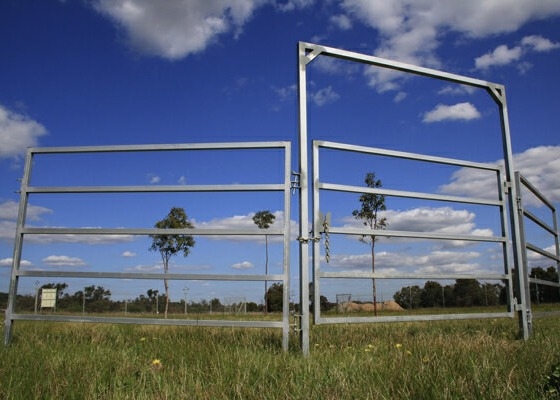 Durable High Strength Portable 40x80mm Oval Rail Cattle Yard Gates 2.1m Width