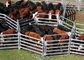 Oval Tube Galvanized Cattle Panel Australia Standard