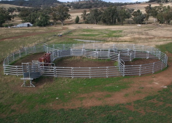 1.8m×2.1m Frame Frame 120g/M2 Coating Heavy Duty Cattle Panel