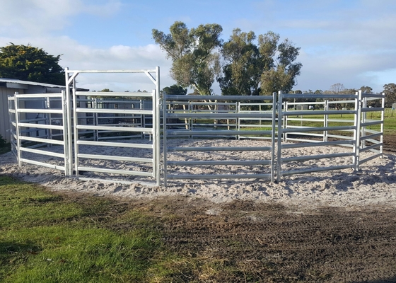 30-40 Head 50x50 High Visibility Livestock Cattle Yard Panels