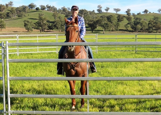 Australia Standard 6 Rails Oval Pipe 1.8m×2.1m Steel Cattle Yard Panels