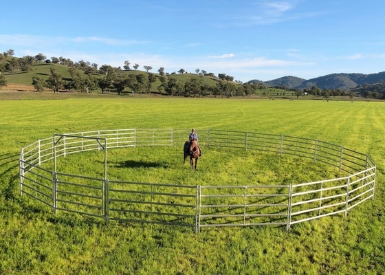 Australia Standard 6 Rails Oval Pipe 1.8m×2.1m Steel Cattle Yard Panels