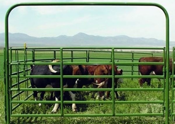 Galvanized Powder Coating 6ft By 10ft Cattle Yard Panels Portable