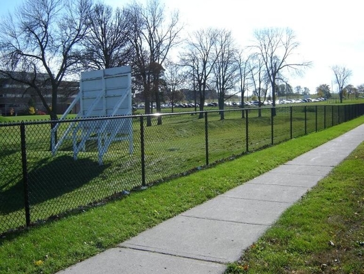 Galvanized Powder Coated 2.0mm Steel Chain Link Fencing School Sports Playground