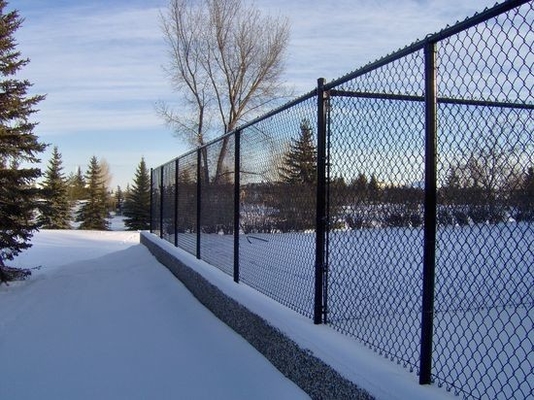 Galvanized Powder Coated 2.0mm Steel Chain Link Fencing School Sports Playground
