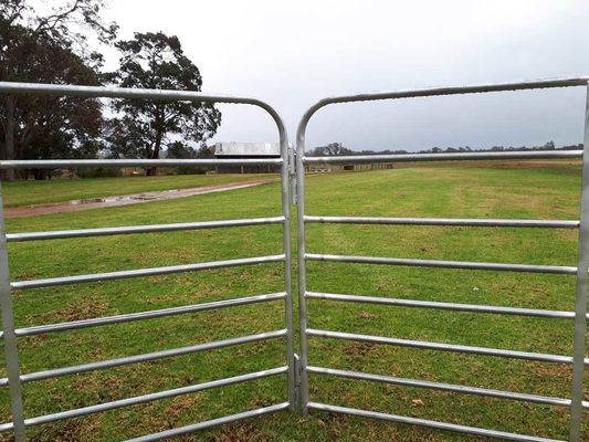 2.9mx1.25m Acero pesado Economia Pastoral Painéis portáteis de pátio de ovelhas Painéis de cabra