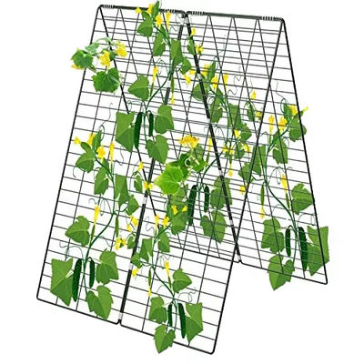 Trellis de pepino dobrável de 34