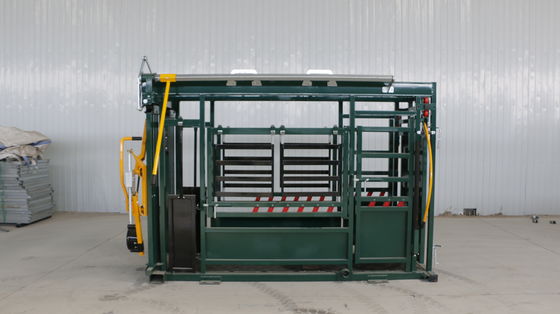 Equipamento de pecuária Pecuária Espremedor Chute Premium Automático Veterinário Esmagador Com Apoio Chin