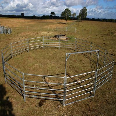 20Panel+1Gate Heavy Duty Galvanized Ranch Yard Fence Cabalo painel redondo do pátio
