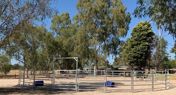 Preço de fábrica 19M Cavalo Quintal redondo Painel de gado Cavalo Painéis estáveis canetas redondas