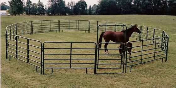 Venda Quente Cavalo Quadrado Quadrado Quadrado Quadrado Quadrado Quadrado Quadrado
